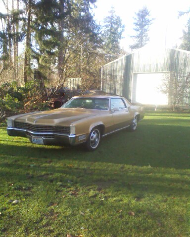 caddy3.jpg